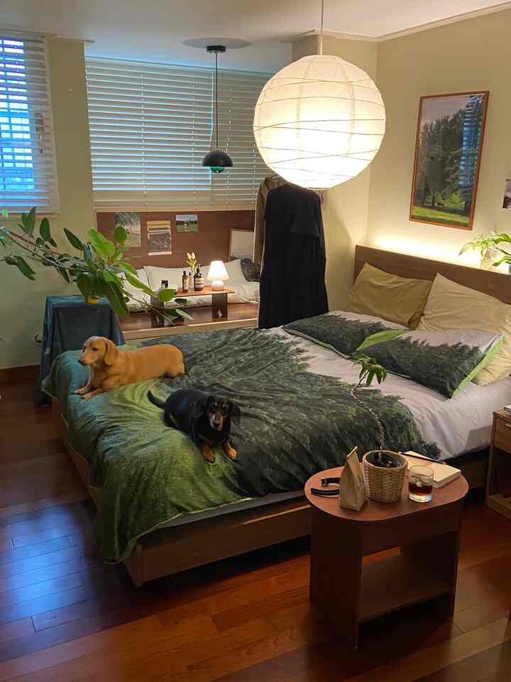 木目調の床と家具が調和した寝室、緑の寝具と2匹の犬がいる雰囲気のある空間