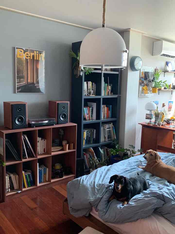 柔らかな青と木目調の寝室、ベッドに二匹の犬が座っており、本棚と照明が配置された落ち着いたインテリア