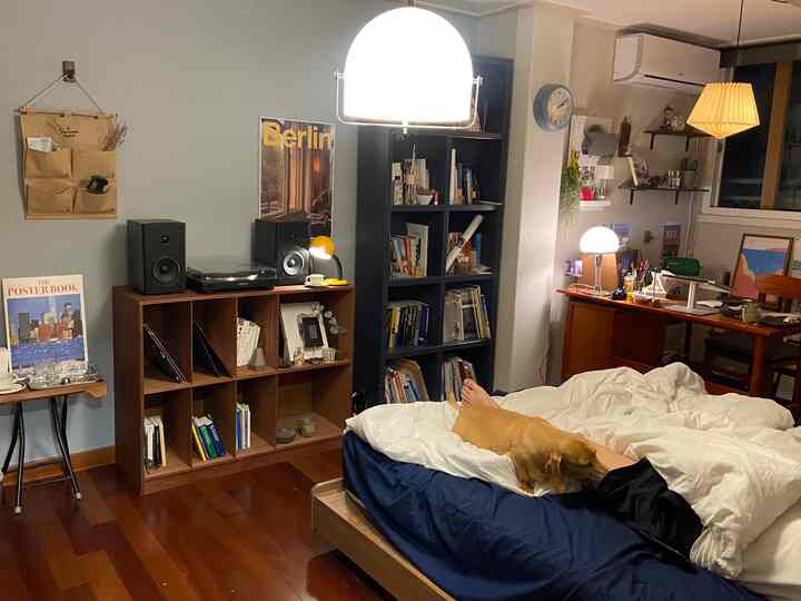 ブルーの寝具とナチュラルなブラウンの木目調家具が配置された6畳の寝室、犬と在宅勤務環境が調和した雰囲気のあるインテリア