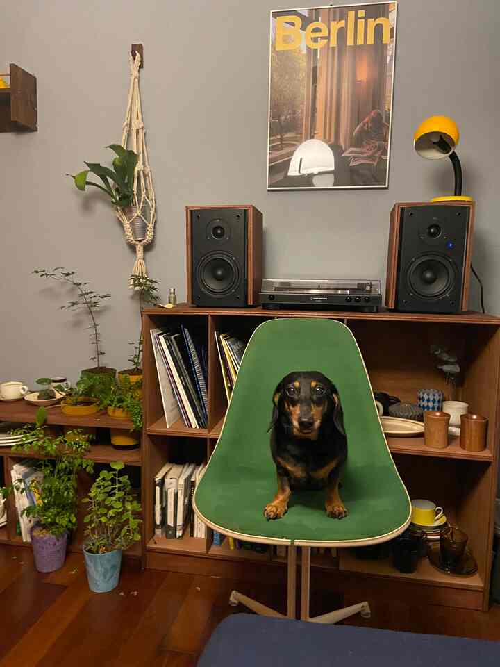 グレーの壁と木目調家具、緑色のアームチェアと植物が配置された雰囲気のあるリビング