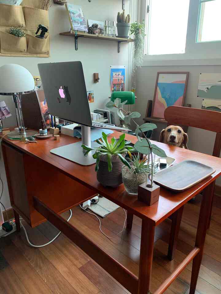 ナチュラルな木目調の兄弟の部屋のホームオフィス、デスクと植物、ヴィンテージ照明が調和した雰囲気のあるインテリア