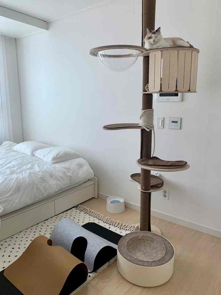白とベージュのトーンの小さな寝室、猫がいるナチュラルなキャットタワーと爪とぎが配置された雰囲気のある空間