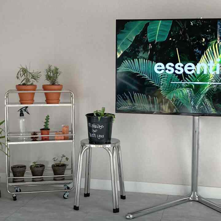 シルバー調の寝室の一角にシルバーのスツールと植物が配置された、清潔感のあるモノトーンインテリア