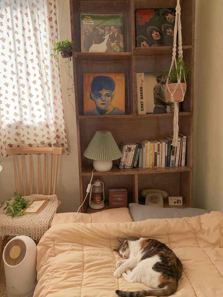 ベージュと木目調の寝室、心地よい寝具の上で眠る猫がいる雰囲気のある空間