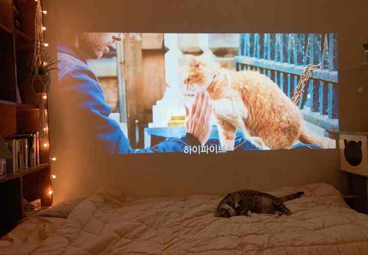 暖かな木目調とナチュラルカラーの寝室、ストリングライトが居心地の良い雰囲気を演出し、猫と暮らす空間