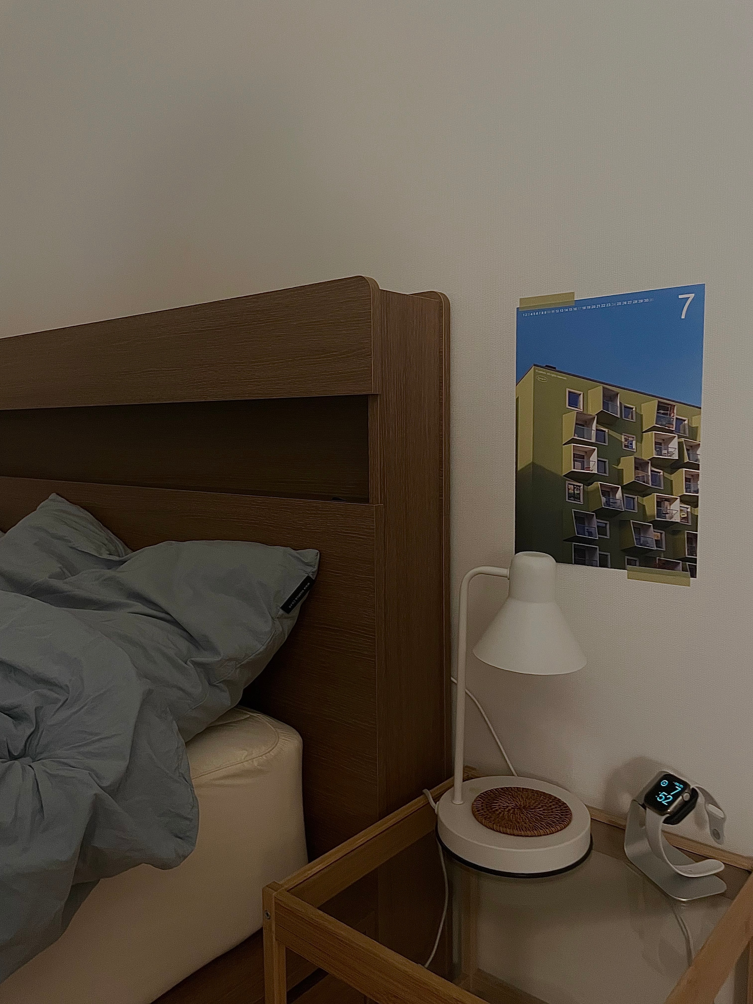 Stay Dust-Free Bed Pad user photo