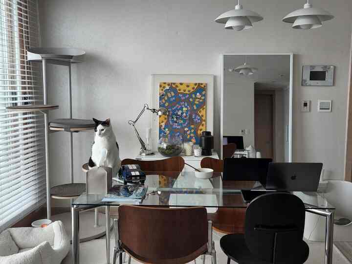 ライトグレーと木目調のリビングルーム、ガラスのダイニングテーブルとキャットタワーが配置された雰囲気のあるモダンな空間