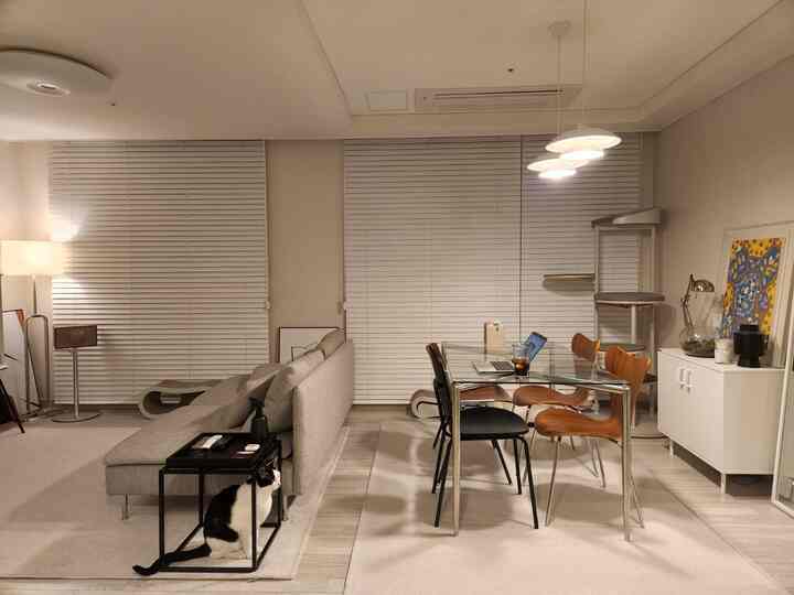 白とライトグレーのトーンのリビングとダイニング、ソファとダイニングテーブル、キャットタワーが配置された雰囲気のあるインテリア