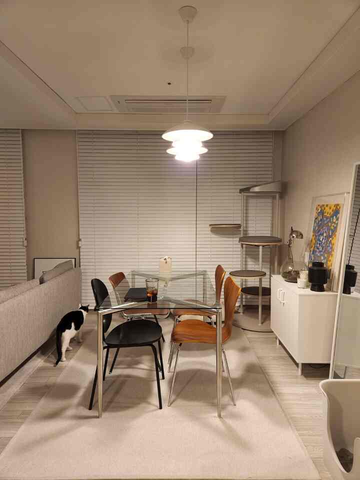 ホワイトとベージュの色調のリビング、透明なテーブルとカラフルなダイニングチェア、猫とキャットタワーがある雰囲気のある空間