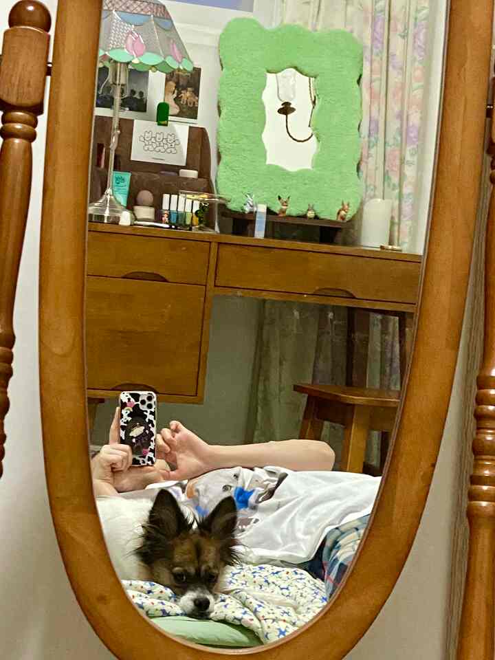 温かみのある木目調の鏡と化粧台があるリビング、窓際にアイボリーのカーテンと壁、ペットの犬がくつろいでいる雰囲気のあるインテリア