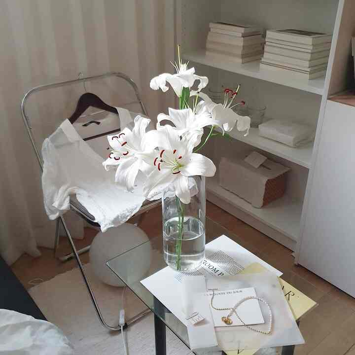 白と透明素材が調和したリビング、中央に花瓶と本棚が配置されたシンプルな空間