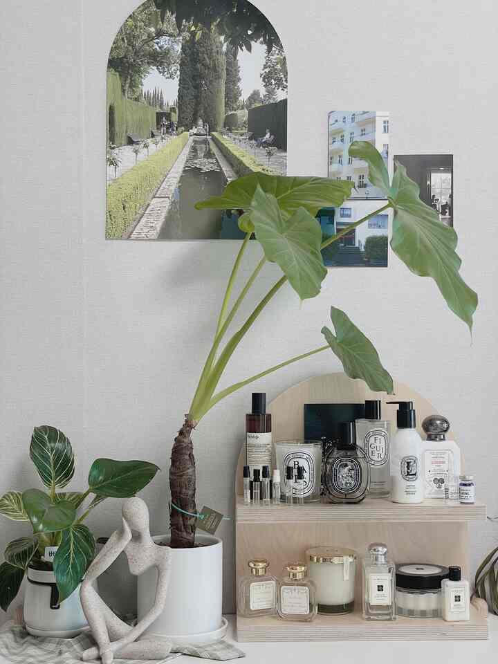 白い壁とナチュラルな木目調の棚が配置された空間、2つの大きな植物と抽象的なオブジェが調和する自然な雰囲気のインテリア