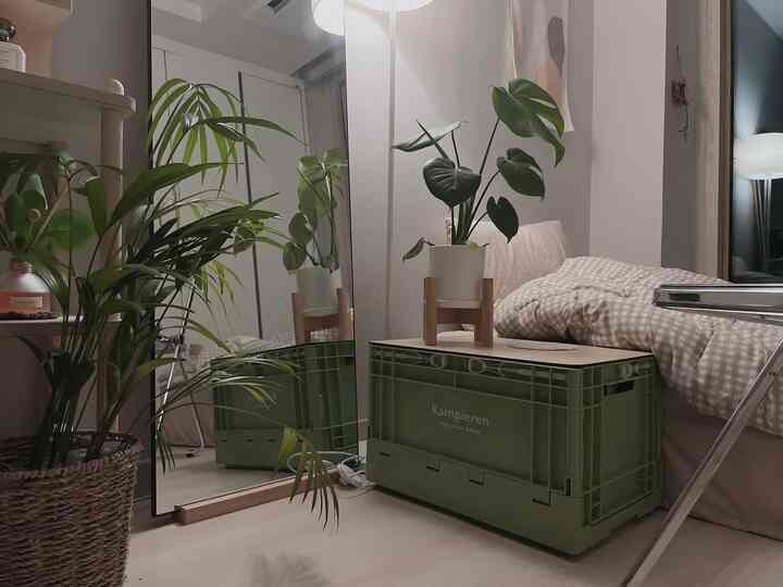 ナチュラルな色調の寝室、快適なベッドと植物、鏡、折りたたみボックスが配置された雰囲気のあるインテリア