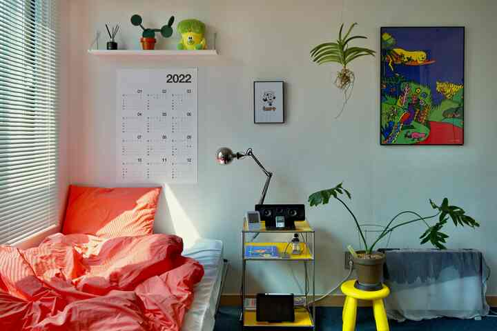 🇰🇷 大胆な色でコーディネート⚡1DKをワンルームに？