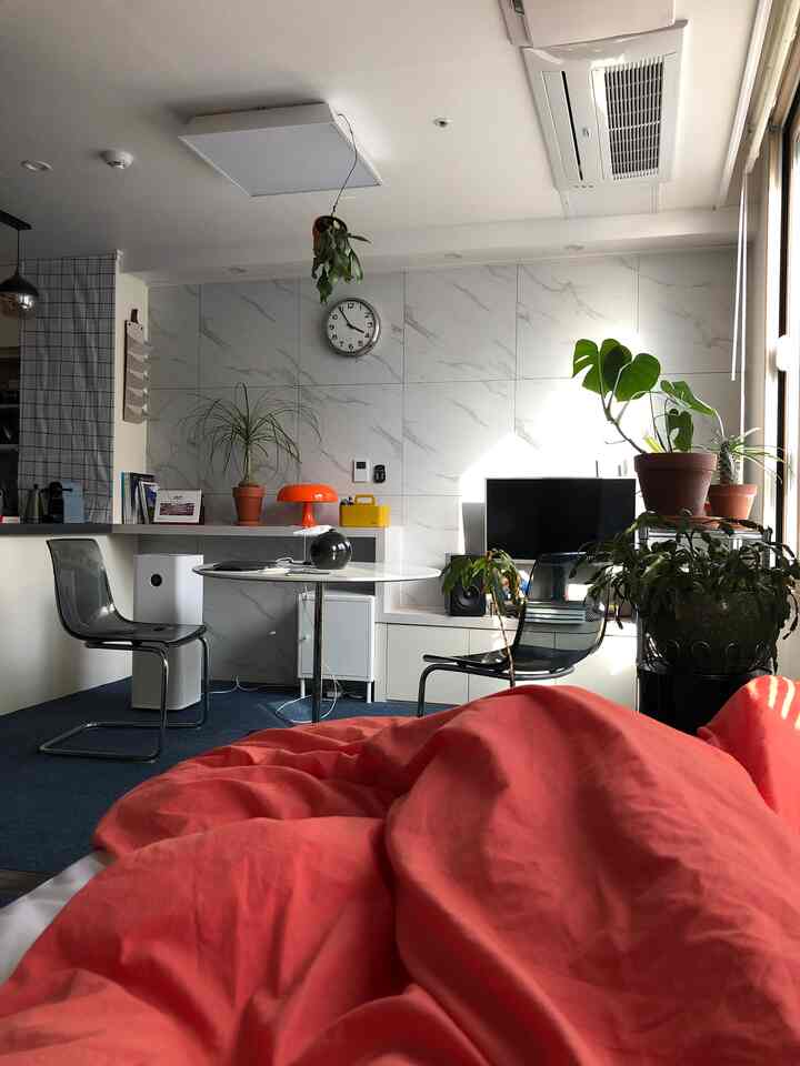 明るいホワイトの背景に青いカーペット、植物とモダンな家具が配置された寝室、手前に鮮やかなオレンジの寝具がある雰囲気のあるインテリア