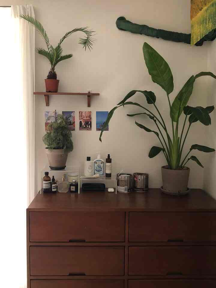 落ち着いた木目調のチェストの上に化粧品と植物が置かれたナチュラルな雰囲気の狭い空間のインテリア