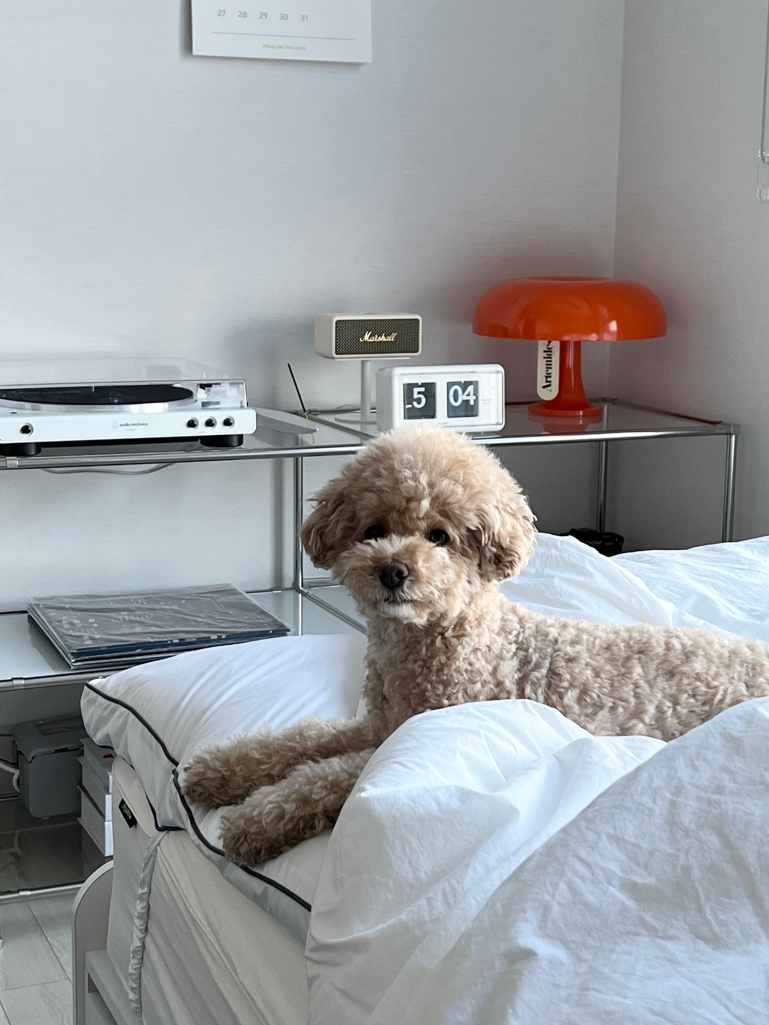 Doze High-Density Cotton Mattress Fitted Sheet user photo