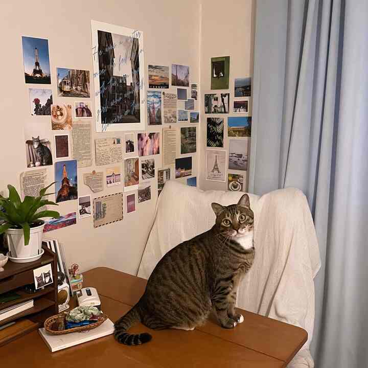 ベージュの壁と木目調の机が配置され、壁にポスターやポストカードが飾られた猫がテーブルに座るナチュラルな書斎空間