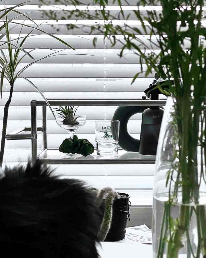 白いブラインドの背景にステンレスラックと様々な植物が配置された、自然な雰囲気のインテリア