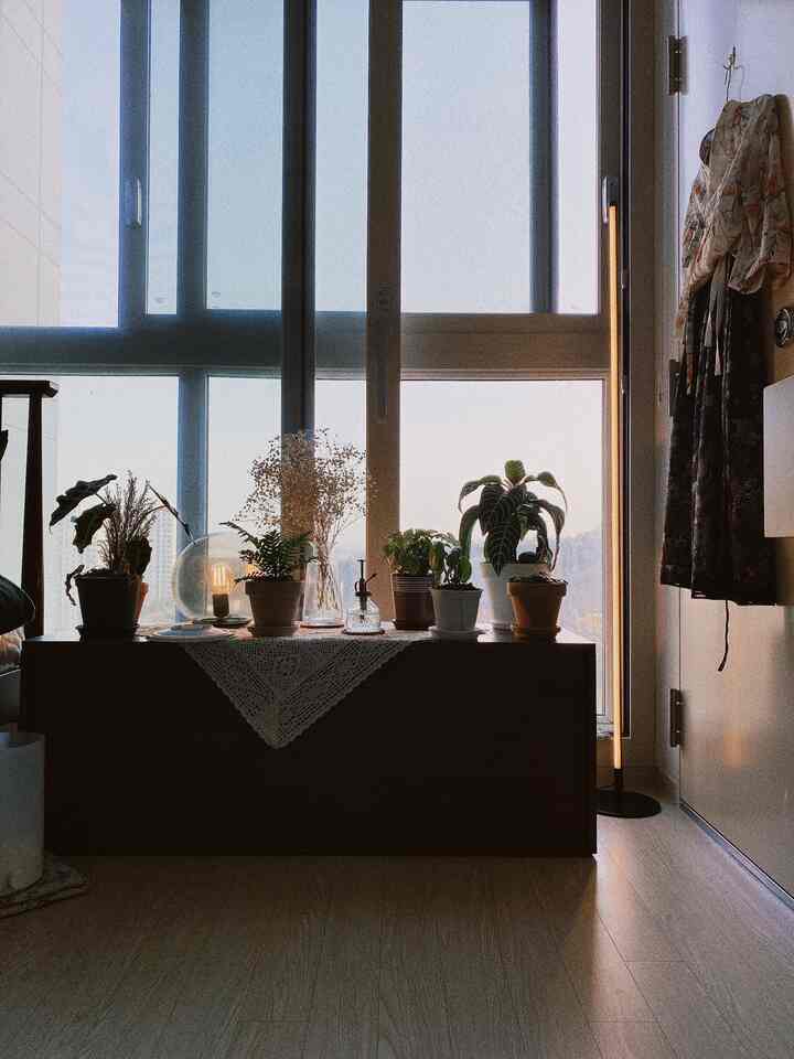 ナチュラルな木目調の床とブラウンのベンチ収納の上に様々な植物が置かれた窓辺の空間、落ち着いた温かみのある雰囲気