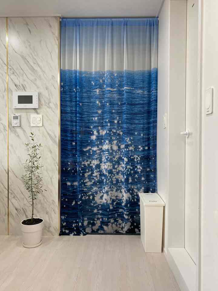 ブルーとホワイトのトーンの玄関空間、ファブリックポスターのカーテンと植物が配置された清潔感のあるモダンなインテリア