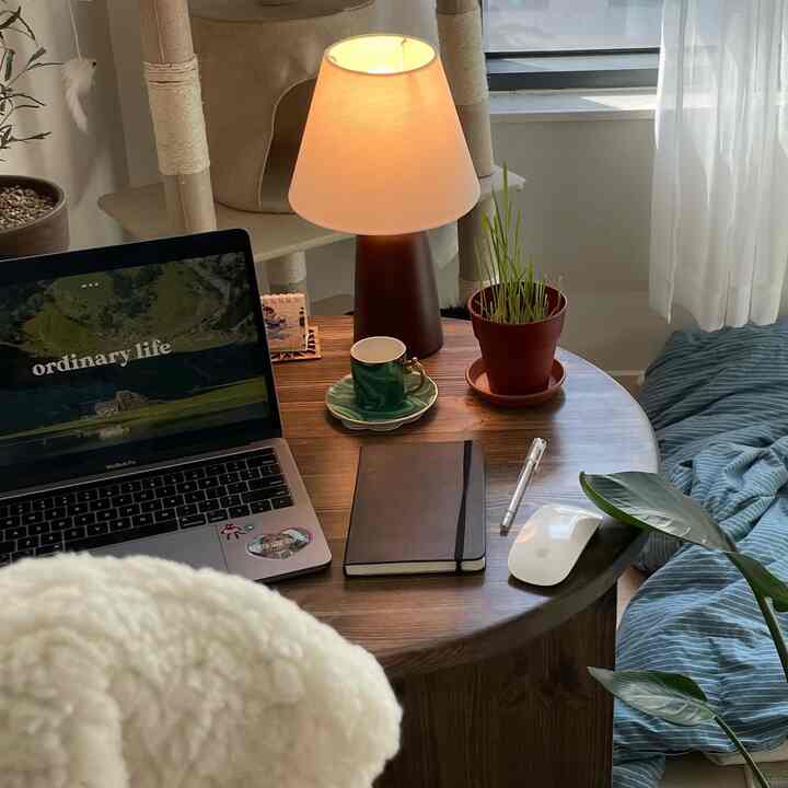 ナチュラルな木目調の小さな丸テーブルに緑のエスプレッソカップ、植物、ランプが置かれた猫と暮らすアットホームなカフェ風の空間