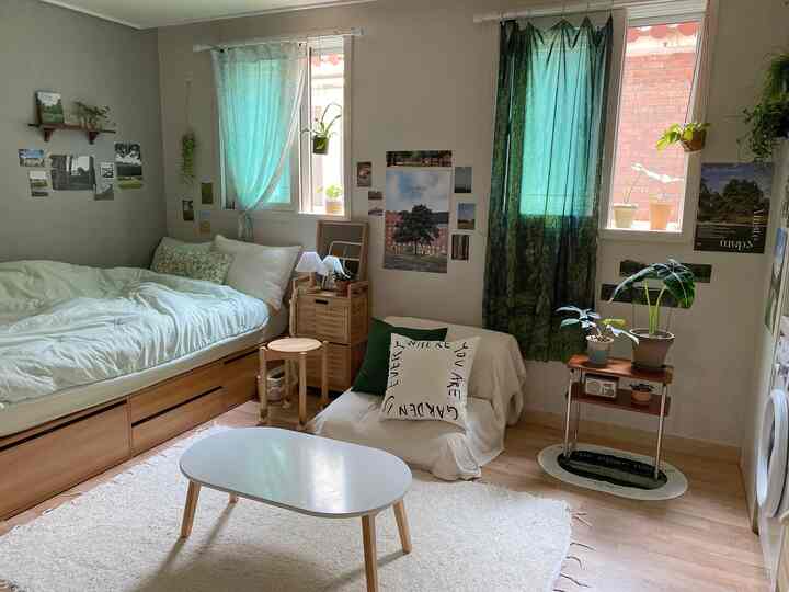 ホワイトとウッドトーンが調和したワンルームのリビング、ベッドや快適な座席、豊かな植物が配置された暖かみのある空間