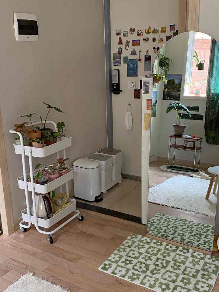 木目調の床と白いゴミ箱、全身鏡、植物が配置された玄関スペース