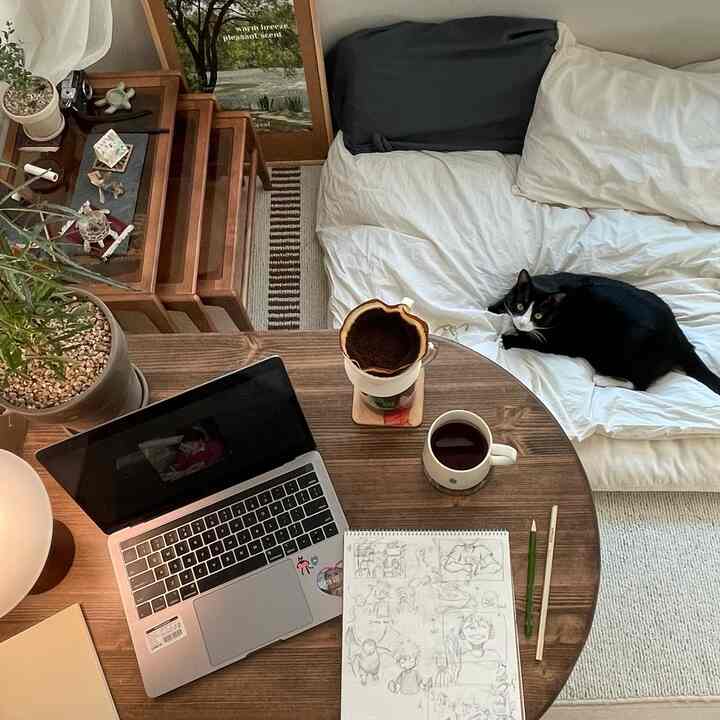 🇰🇷 木のぬくもりに包まれた20㎡1Rで猫との暮らし