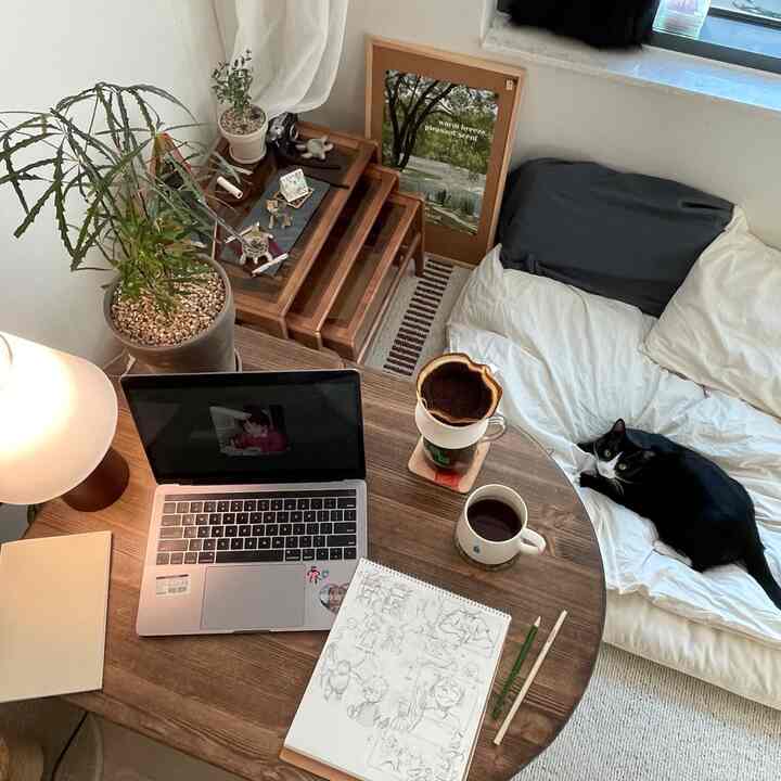 ナチュラルな木目調と植物が調和する一人暮らしのリビング。白いソファに猫とホームカフェが配置された落ち着いた空間