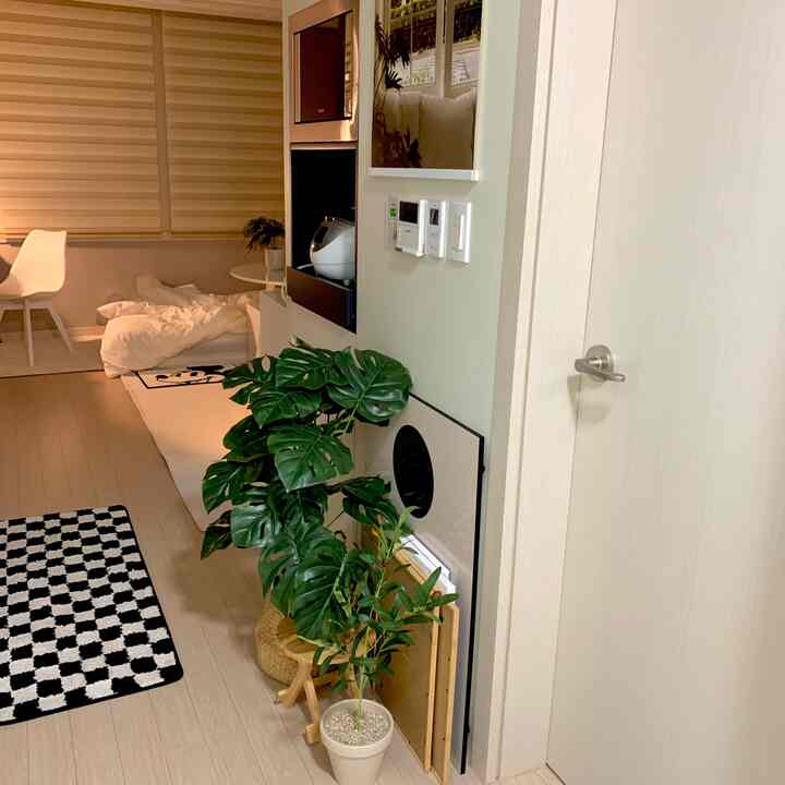 ナチュラルトーンのキッチンと玄関空間、人工植物とポスターが配置されたミニマルで清潔感のあるインテリア