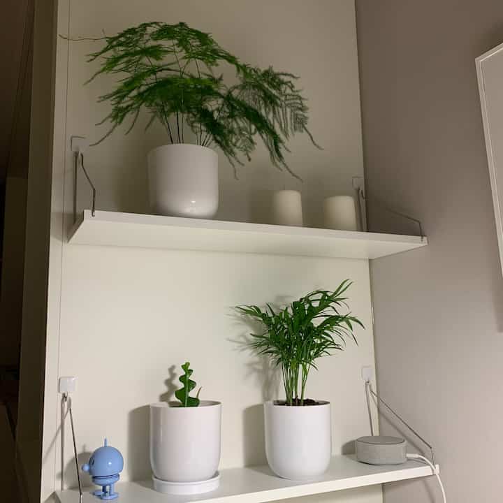 ホワイトとグリーンのトーンの棚付きダイニングスペース、洗練された植物とシンプルなキャンドル、AIスピーカーが配置された清潔感のあるインテリア