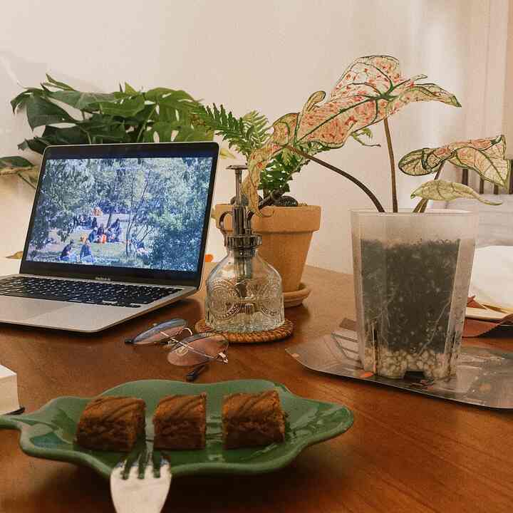 ナチュラルな雰囲気のワンルームのダイニングテーブルに、ノートパソコンや植物、ケーキが置かれたカフェ風の空間