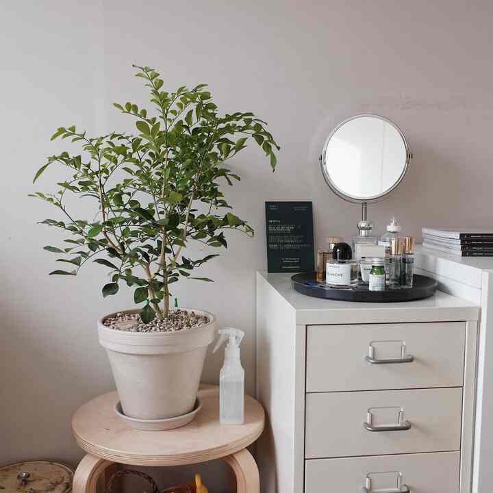 ナチュラルな木製スツールとベージュの鉢植え、白いチェストの上に丸い鏡が置かれたシンプルで落ち着いた空間