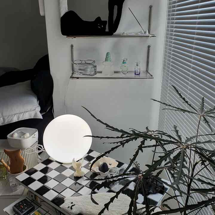 黒と白のチェックのタイルダイニングテーブルとムードランプ、ブラインド、植物が配置されたモダンで清潔感のある空間、棚と床に黒猫が見える