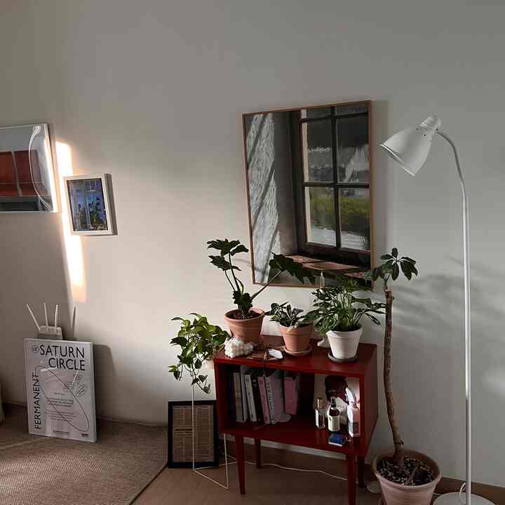 白い壁と木目調の床があるリビング、チェリー色の本棚と多様な植物、フロアランプが自然で落ち着いた空間を演出している