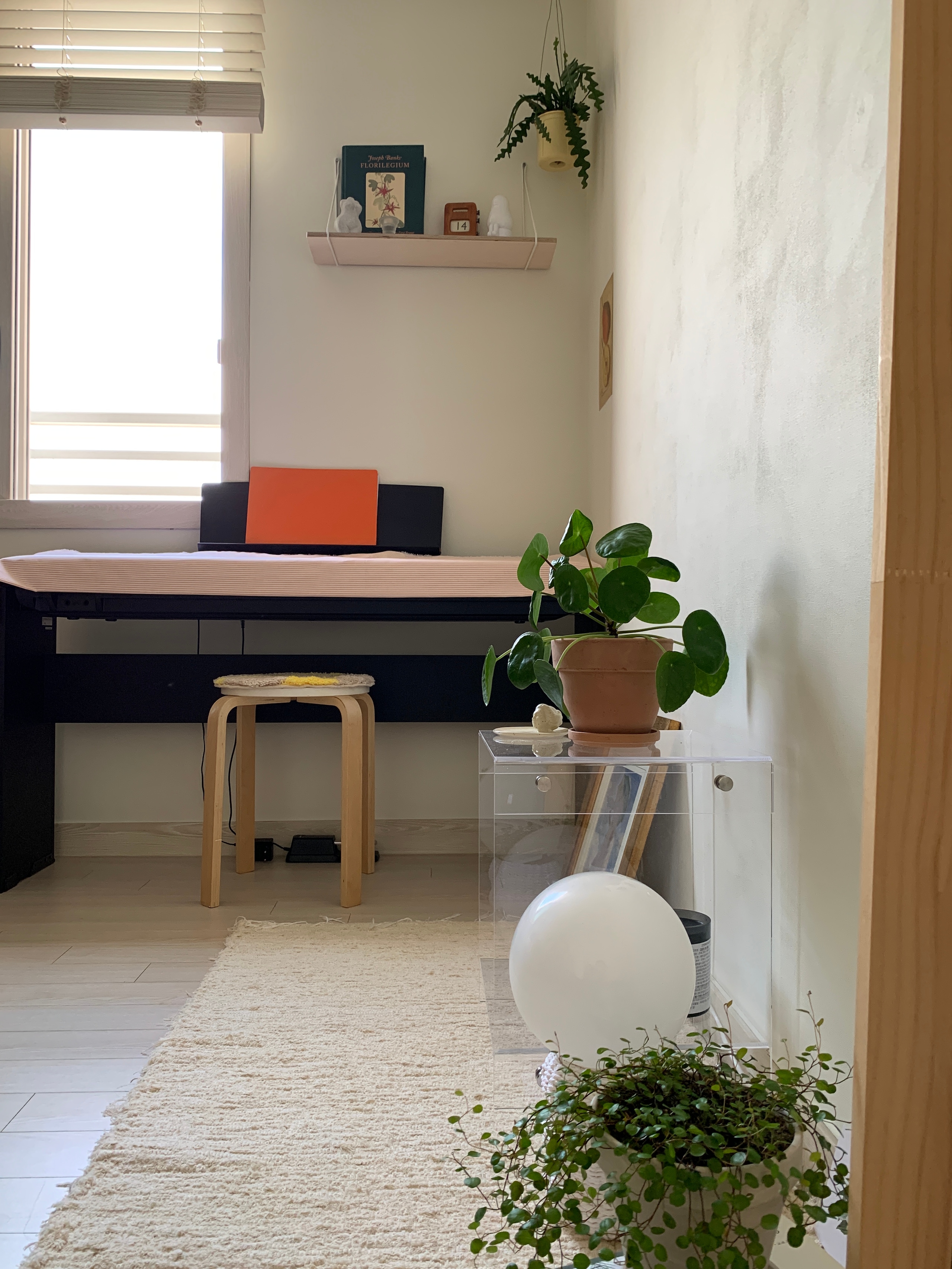 Little Things Circular Accent Rug user photo