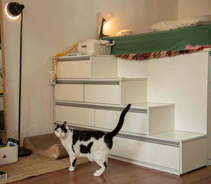 白とナチュラルウッド調の階段型収納が配置された、猫と暮らす実用的なリビング空間