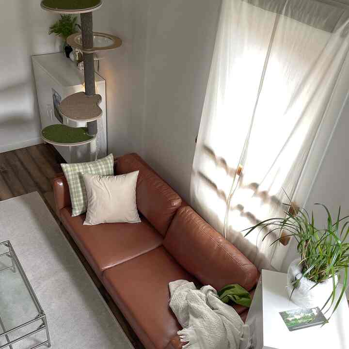 ブラウンレザーのソファとナチュラルな色合いのリビング、キャットタワーと観葉植物が配置された落ち着いた空間