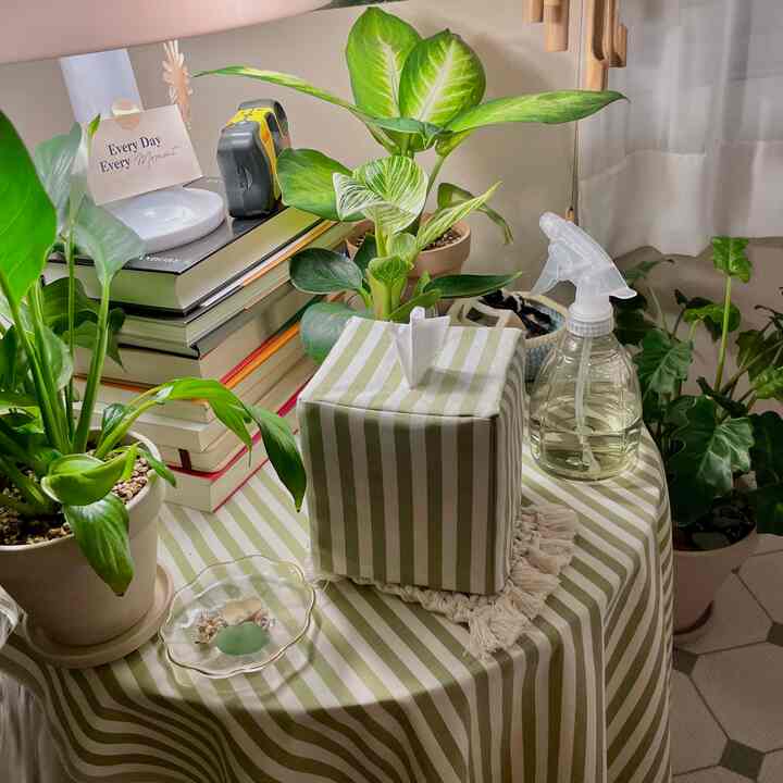 緑の植物とストライプのテーブルクロス、植物用スプレーボトルがある落ち着いたインテリア空間