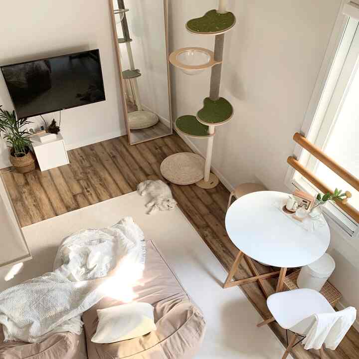 ペット用 ビーズクッション 607S［6色］を使ったコーディネート 3