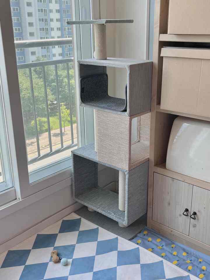 明るいベージュとブルーが調和した浴室横の空間、窓際にキャットタワーと猫トイレが配置された落ち着いたペットスペース