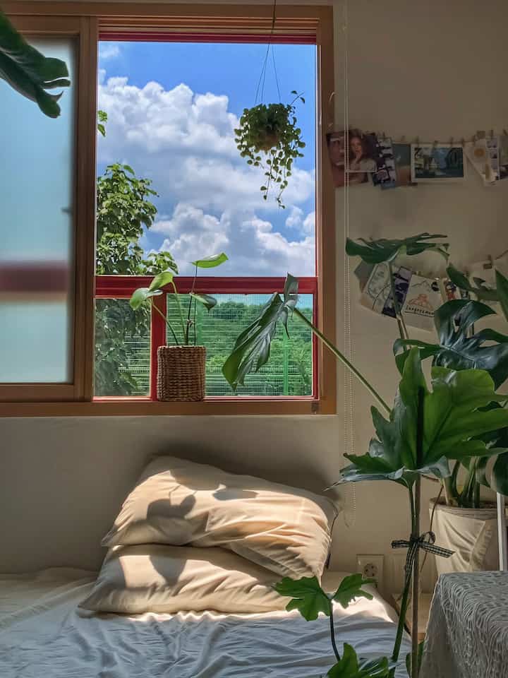 自然色調の寝室、窓際の緑の植物と温かい日差しが差し込む雰囲気のある空間