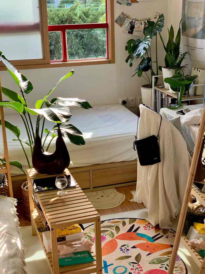 白い壁と木目調が調和した寝室、ベッドと植物が落ち着いた雰囲気のあるインテリア