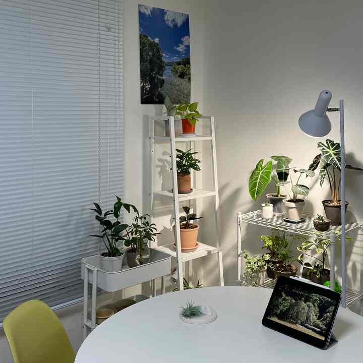 ホワイトトーンのベランダ空間、植物とアルミブラインド、丸テーブルと棚が配置されたモダンで清潔感のあるインテリア