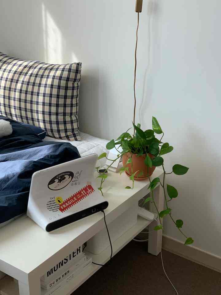 白い壁とネイビーの寝具が映えるミッドセンチュリーモダンな寝室、鉢植えとチェッカーパターンの枕が居心地の良い雰囲気を演出