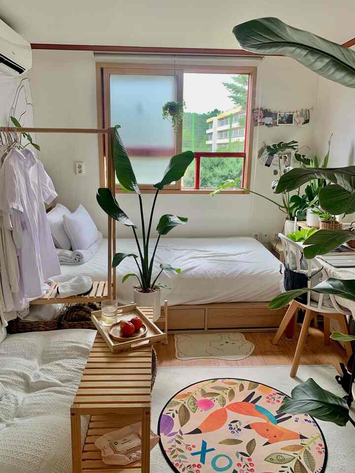 🇰🇷 1Kで一人暮らし、いつの間に植物園になっていた