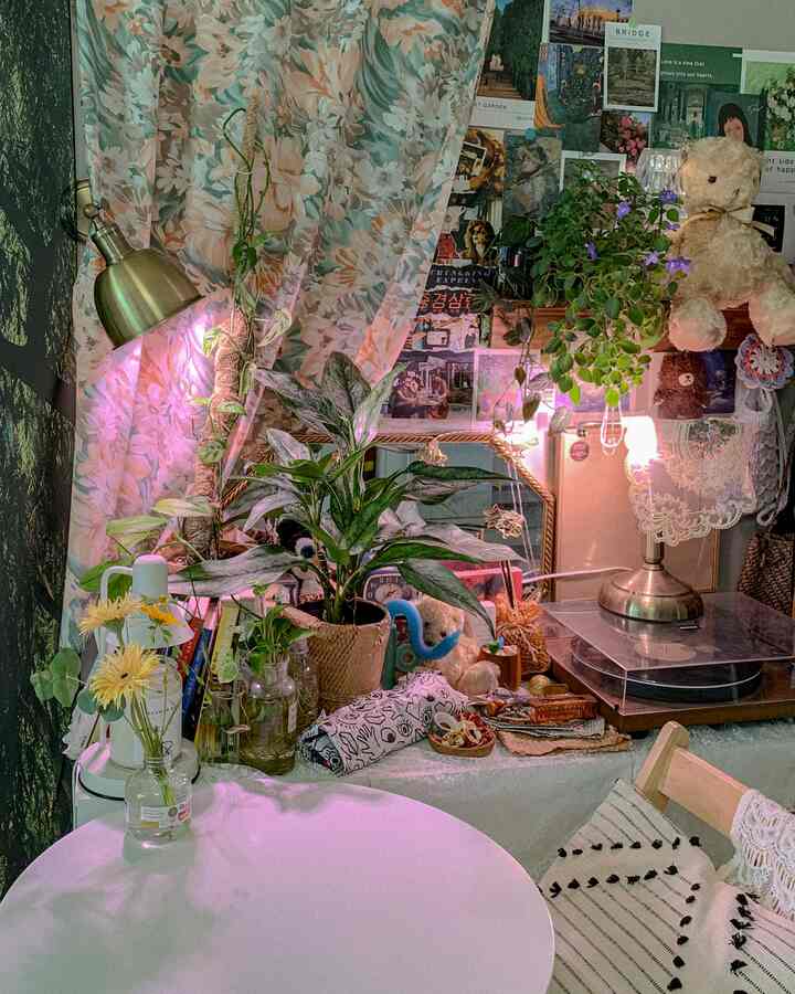 淡いブラウンとグリーンの色調のワンルーム、花柄カーテンと植物が配置された雰囲気のあるヴィンテージ空間