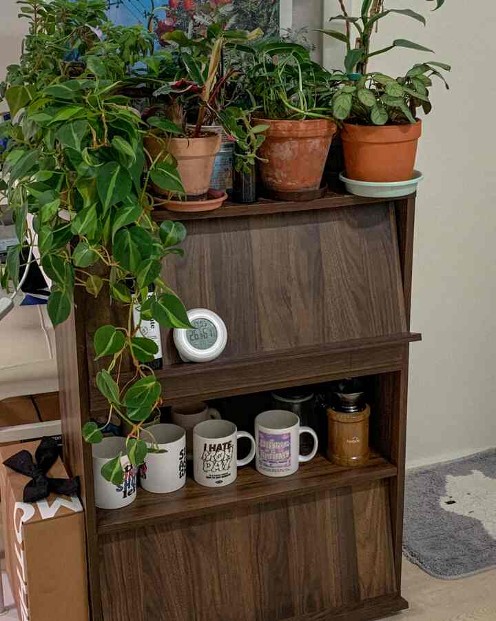 ナチュラルなトーンのワンルーム、フラップドア付きキャビネットに植物とカップが置かれた雰囲気のあるインテリア