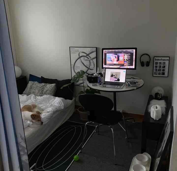 白い壁とベッドのある寝室、丸いテーブルと椅子が配置されたモダンな空間で、犬がベッドの上でくつろいでいる